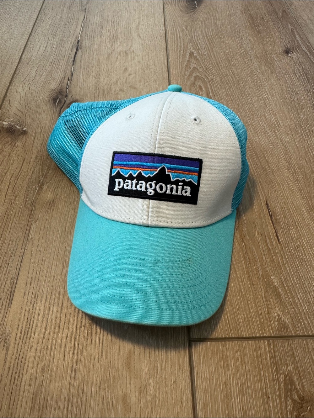 Patagonia Logo Trucker Hat Cap Snapback Blue Distressed Adjustable Teal